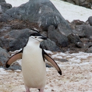 _MG_5241.jpg