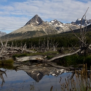 _MG_7262.jpg