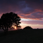 IMG_0772_edited1.jpg