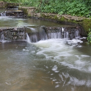 IMG_2925.jpg