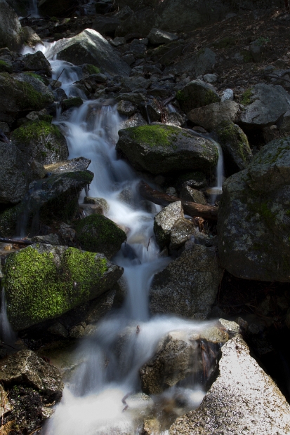 _MG_7783