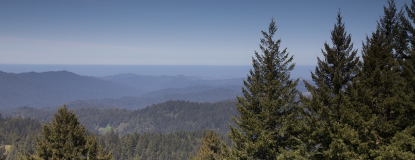 cailfornia-1