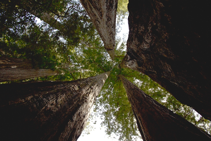 cailfornia-10