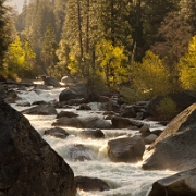 _MG_7522.jpg