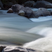 _MG_7727.jpg