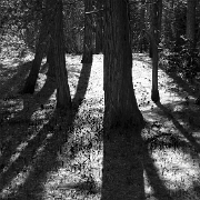 _MG_7766_2.jpg