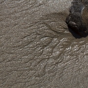 _MG_9224.jpg