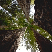 cailfornia-10.jpg