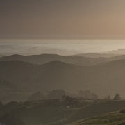 cailfornia-8.jpg
