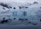 View from the Polar Cirkel boat as we had our 15 minute cruise behind Base Brown. : Base Brown