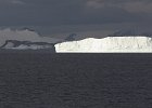 Iceberg highlighted by sunlight. : Icebergs, Jenny island