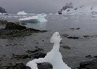 An intricate piece of ice at Danco Island. : Danco Island