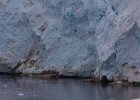 Where Ice meets sea. : Neko Harbour