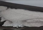 Crossing the ashy snow field. : Telefon Bay