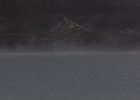 Steam rising from the volcanically warmed waters of Deception Island. : Whalers Bay