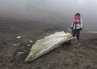 &#34;Part&#34; of the skull of a Fin whale (probably). : Whalers Bay