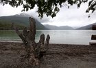 Lake Roca in Ushuaia National Park. : Ushuaia National Park