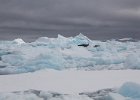 A jumble of small icebergs cloggng up the bay. : Fish Islands