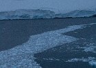 Bands of sea ice float on the surface. : LeMaire Channel