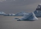 Icebergs filling the entrance to Horseshoe Island. : Horseshoe Island