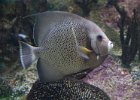 In the Aquarium : Florida, Places