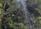 Near Melincourt Falls