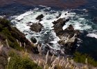 Big Sur meets the ocean.