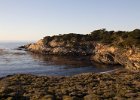 Point Lobos park.