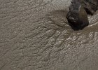 Beach patterns