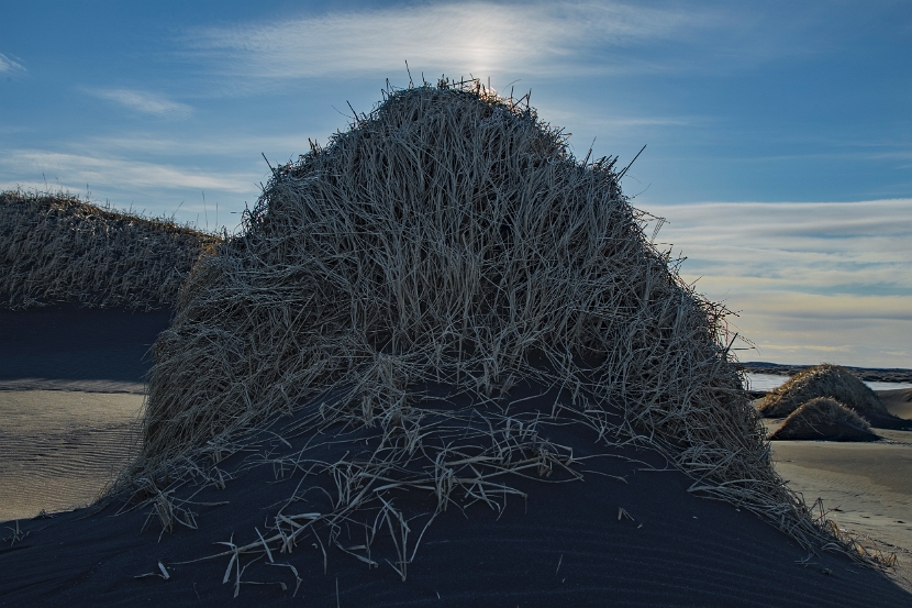 _MG_3851-HDR