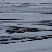_MG_3389.jpg