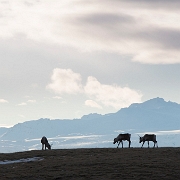 _MG_3660.jpg