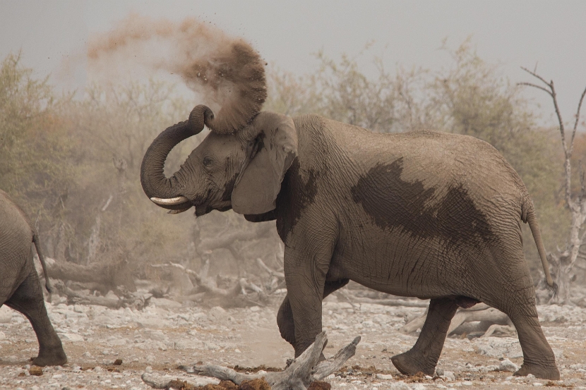 namibia-24