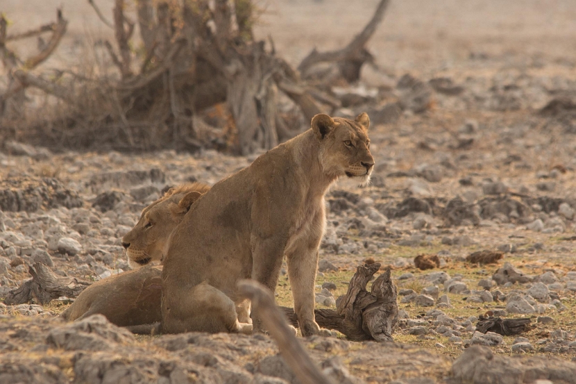 namibia-26