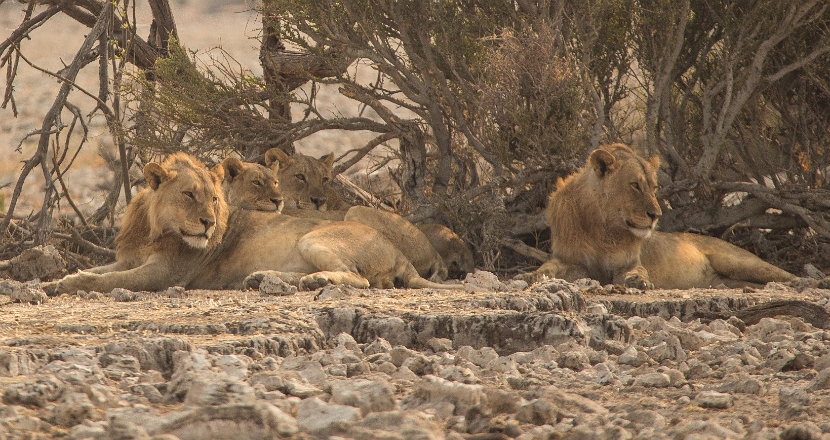 namibia-27