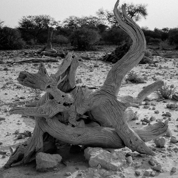 namibia-30