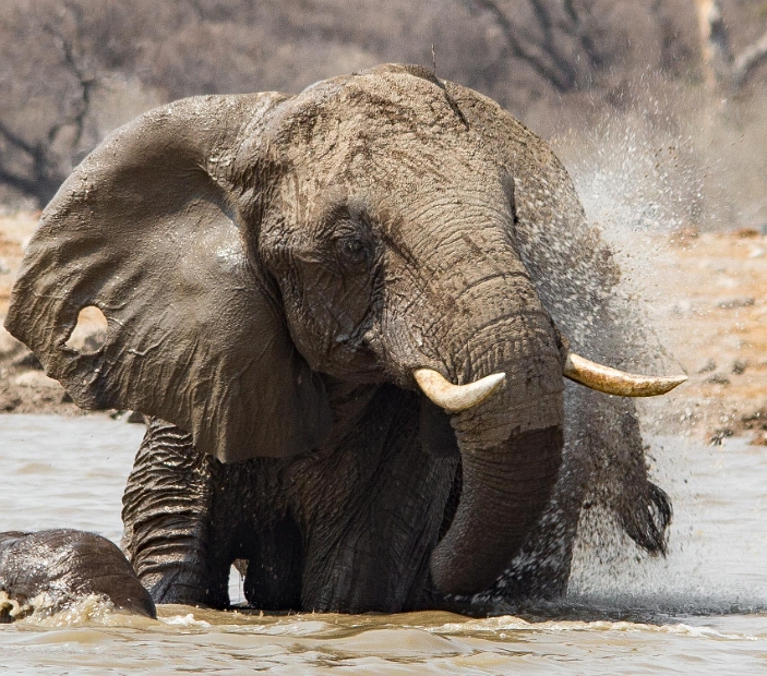 namibia-37