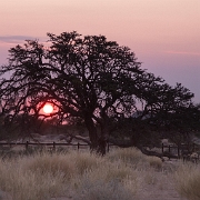 namibia-11.jpg