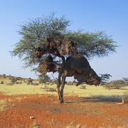 namibia-2.jpg