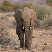 namibia-23.jpg