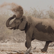 namibia-24.jpg