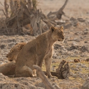 namibia-26.jpg
