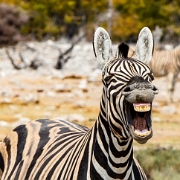 namibia-28.jpg