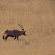 namibia-3.jpg