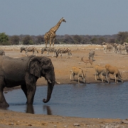 namibia-32.jpg