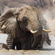 namibia-37.jpg