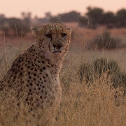 namibia-5.jpg