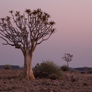 namibia-8.jpg