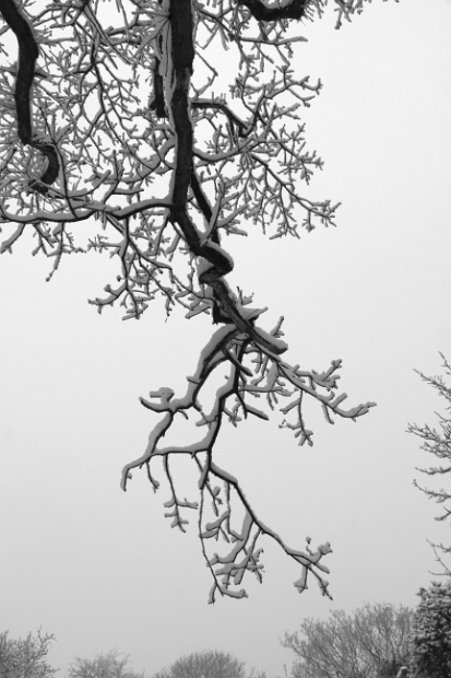 IMG_2303_bw_edited-1