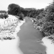 IMG_2349_bw_edited-1.jpg